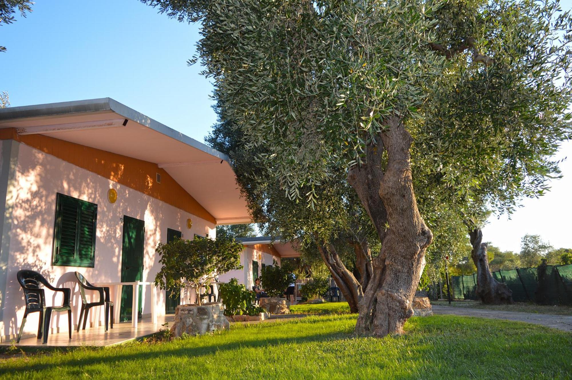 Villaggio Uliveto Rodi Garganico Exteriör bild