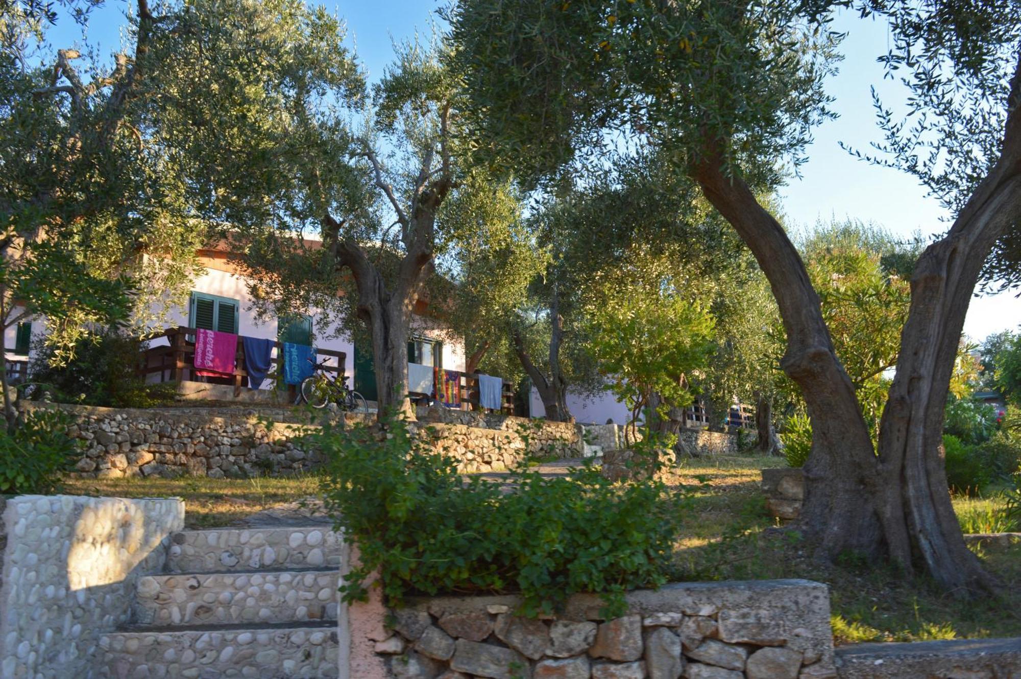 Villaggio Uliveto Rodi Garganico Exteriör bild