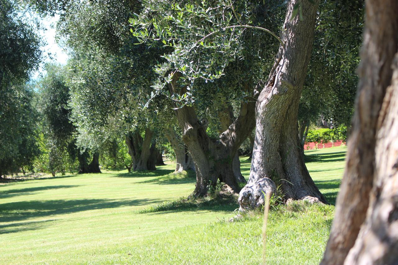 Villaggio Uliveto Rodi Garganico Exteriör bild